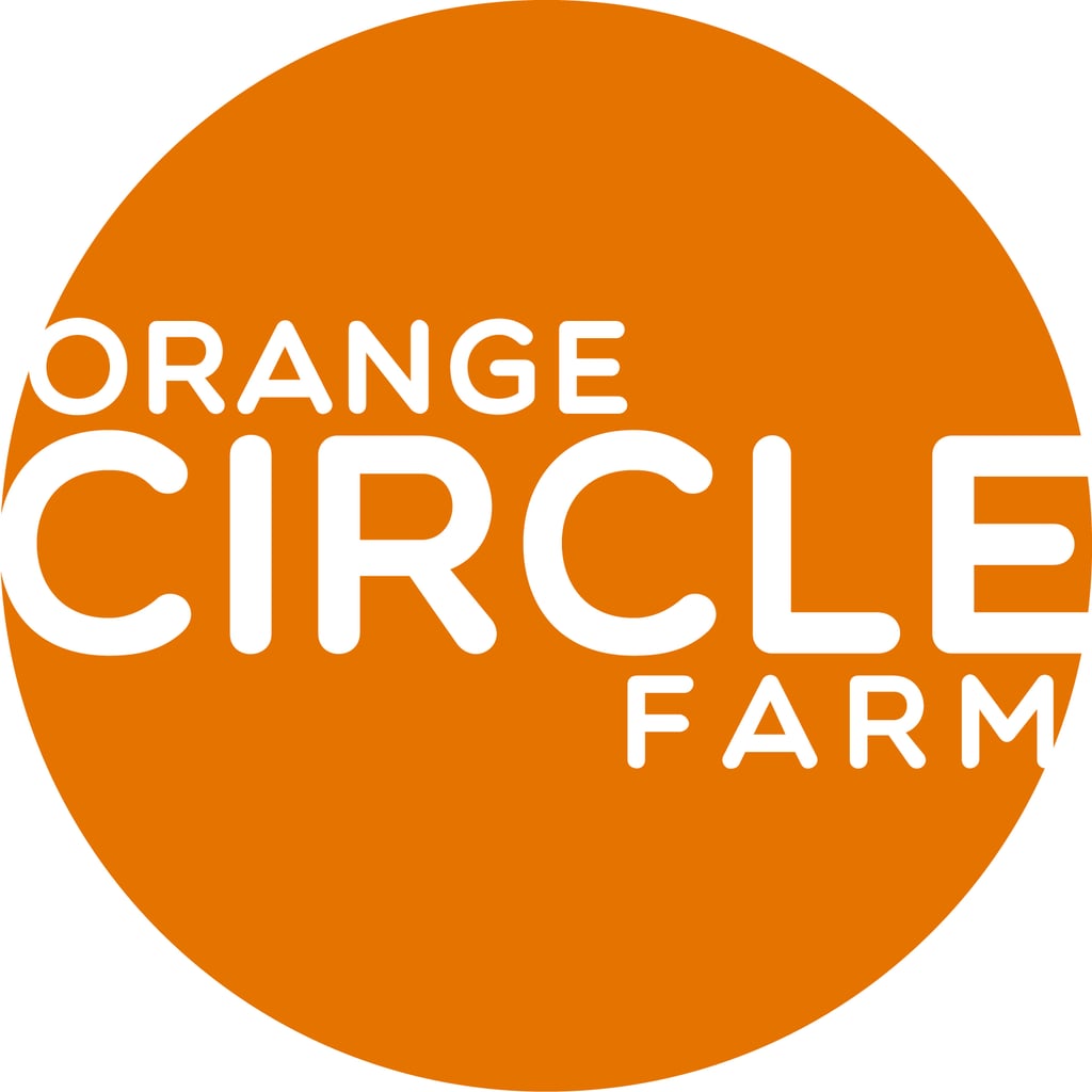 Dinner with strangers