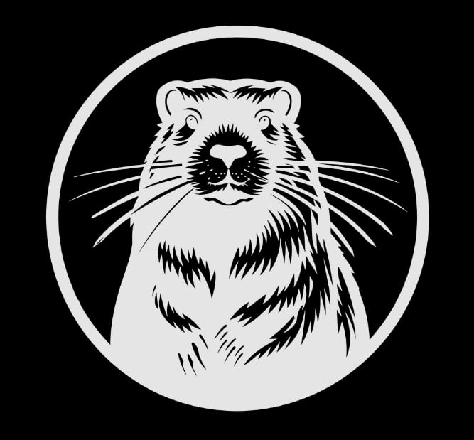 Dinner with strangers